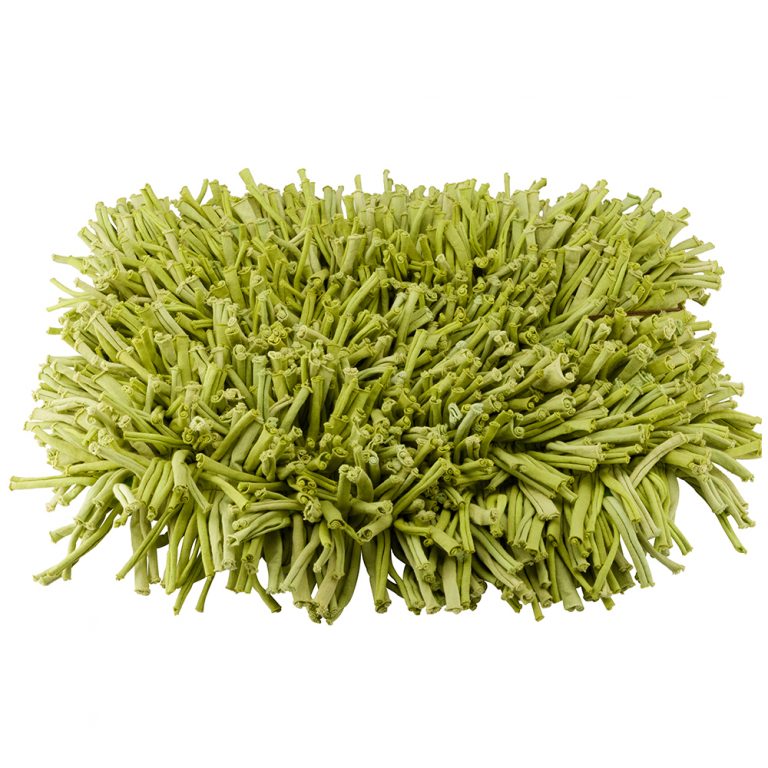 Slow Feeder Art of Green Home Products