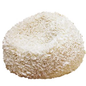 Blossom Cotton Freeform Seat