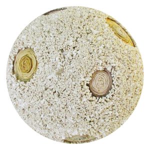 Wood slice ball